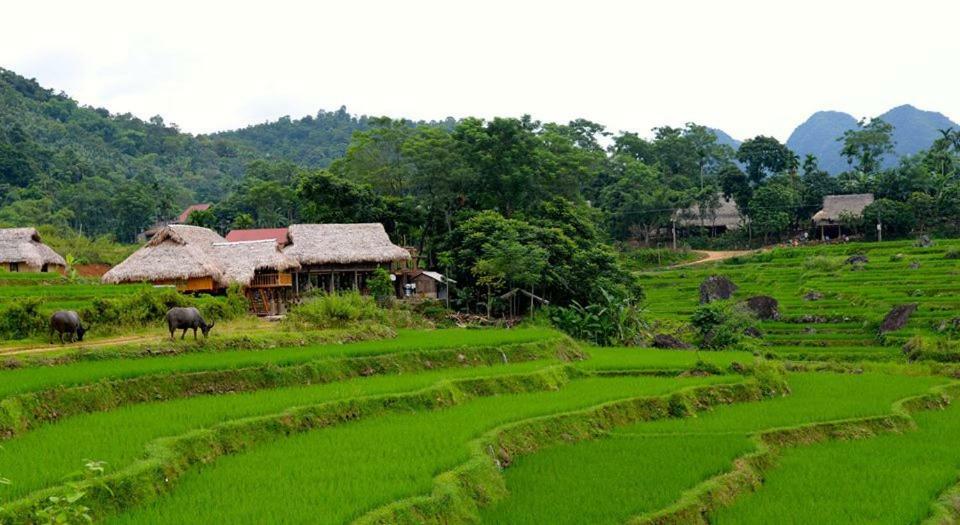 Puluong Valley Home Thanh Hoa Exterior photo